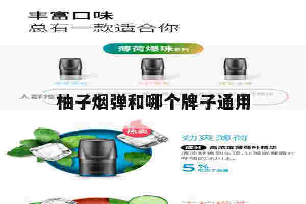 柚子烟弹和哪个牌子通用(柚子二代可以用悦刻的烟弹吗)