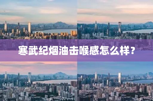 寒武纪烟油击喉感怎么样?-第2张图片-悦刻一手货源网 寒武纪烟油击喉感怎么样?-第2张图片-悦刻一手货源网