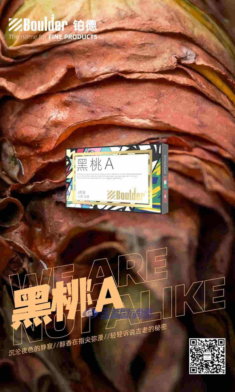 铂德新品首发:插画印象版KATE Graffiti,潮流视觉,全新升级